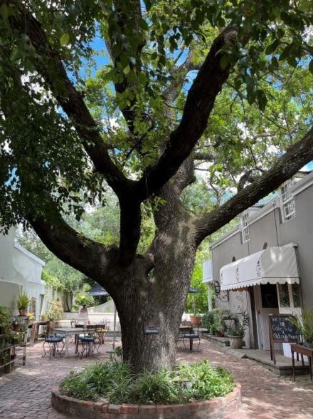 Cafe Felix & Old Oak Manor Hotel Riebeek-Kasteel Eksteriør billede