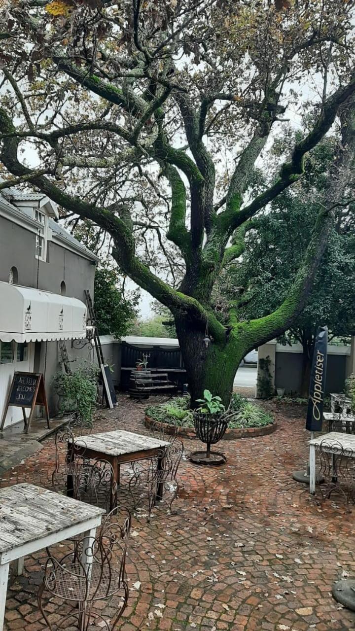 Cafe Felix & Old Oak Manor Hotel Riebeek-Kasteel Eksteriør billede